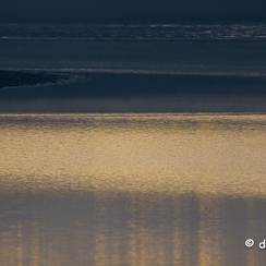 2022-11-13-69brenneZ9