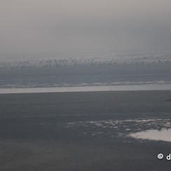 2022-11-13-72brenneZ9