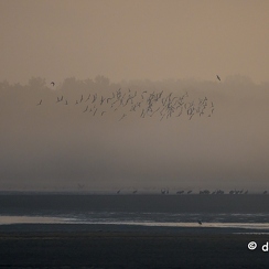 2022-11-13-85brenneZ9