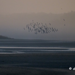 2022-11-13-87brenneZ9