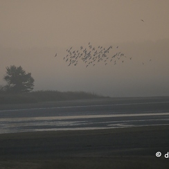 2022-11-13-90brenneZ9