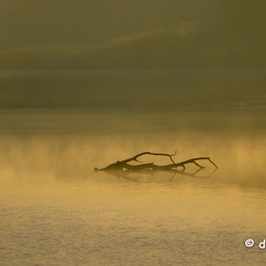 2022-11-13-222brenneZ9