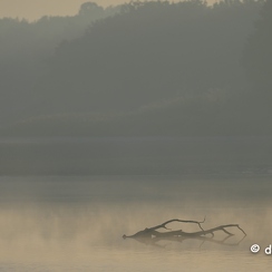 2022-11-13-223brenneZ9