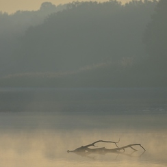 2022-11-13-225brenneZ9