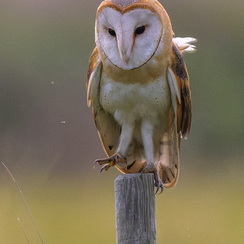 2025-10-18-6791vendeeZ9