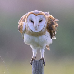 2025-10-18-6924vendeeZ9-2