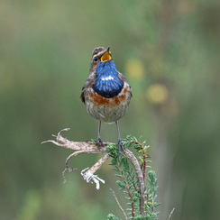 2025-04-24-1199vendéeZ8