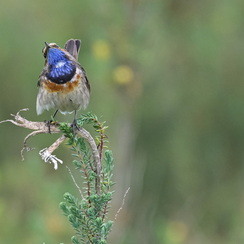 2025-04-24-1227vendéeZ8