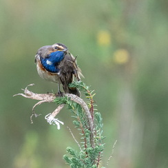 2025-04-24-1278vendéeZ8