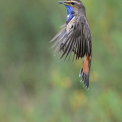 2025-04-24-1339vendéeZ8