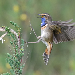 2025-04-24-1341vendéeZ8