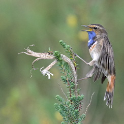 2025-04-24-1342vendéeZ8