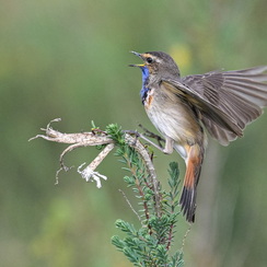 2025-04-24-1344vendéeZ8