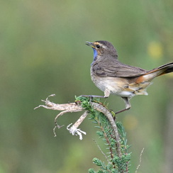 2025-04-24-1348vendéeZ8