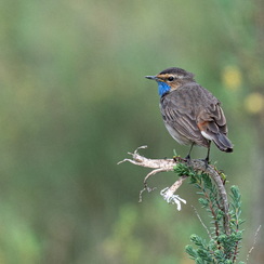 2025-04-24-1363vendéeZ8