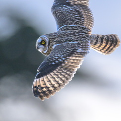 2025-07-26-557vendeeZ8