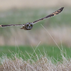 2025-07-29-4452vendeeZ9