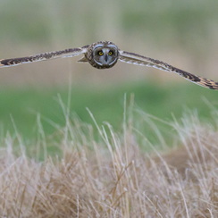 2025-07-29-4486vendeeZ9