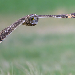 2025-07-29-4622vendeeZ9