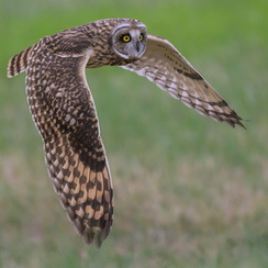 2025-07-29-4679vendeeZ9