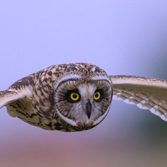 2025-07-29-4734vendeeZ9