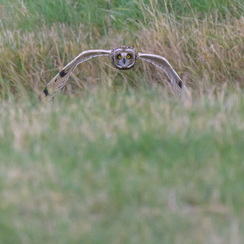 2025-07-29-5372vendeeZ9