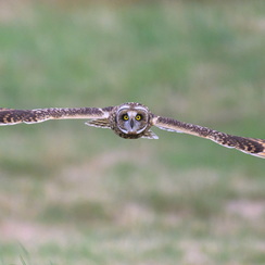 2025-07-29-5521vendeeZ9