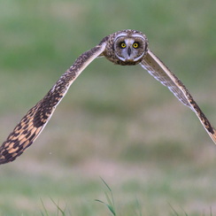 2025-07-29-5528vendeeZ9