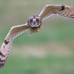 2025-07-29-5542vendeeZ9