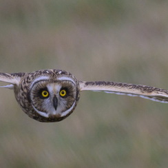 2025-07-29-5694vendeeZ9