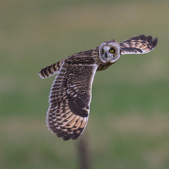 2025-07-29-6866vendeeZ9