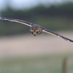 2025-07-31-13608vendeeZ9