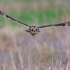 2025-07-31-13620vendeeZ9