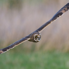 2025-07-31-14103vendeeZ9