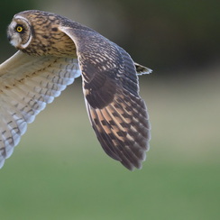 2025-07-31-14177vendeeZ9