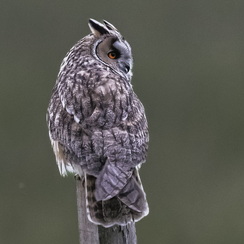 2025-04-20-3899vendéeZ9