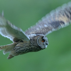 2025-04-20-7421vendéeZ9