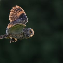 2025-04-24-1766vendéeZ8