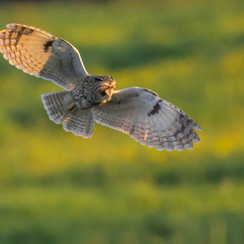 2025-04-24-1977vendéeZ8