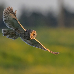 2025-04-24-2056vendéeZ8