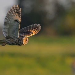 2025-04-24-2072vendéeZ8