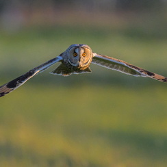 2025-04-24-2104vendéeZ8