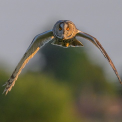 2025-04-24-2132vendéeZ8