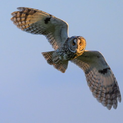 2025-04-24-2145vendéeZ8