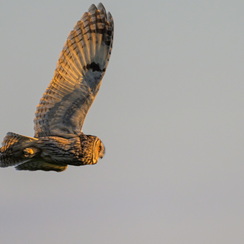 2025-04-24-2164vendéeZ8