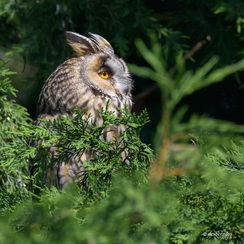 2025-04-25-19472vendéeZ9