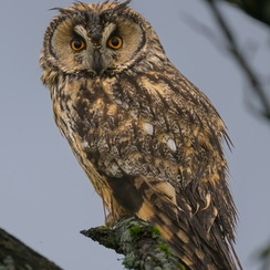 2026-02-23-1560vendeeZ9