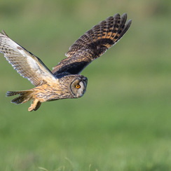 2026-02-24-873vendeeZ9