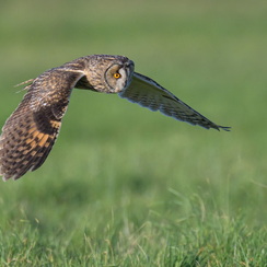 2026-02-24-877vendeeZ9