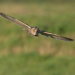 2026-02-24-930vendeeZ9